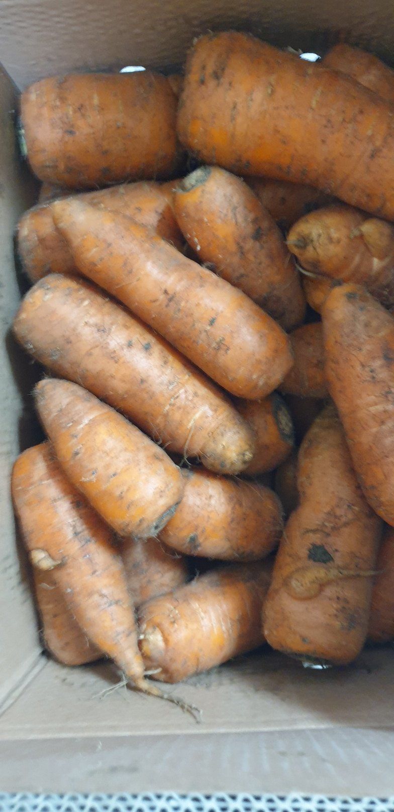 SOUL님의 장터 구매 후기 썸네일