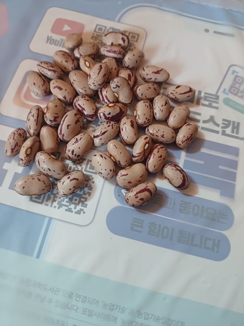 홍성복숭아줌님의 장터 구매 후기 썸네일