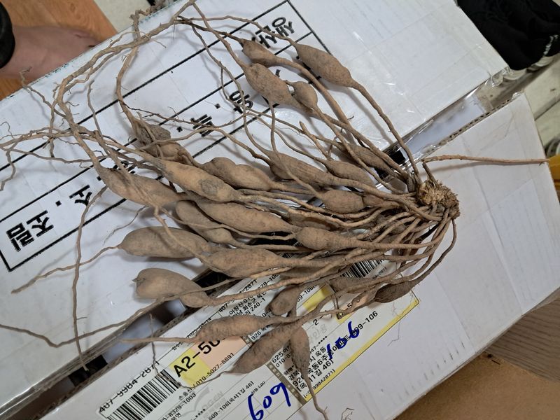 황해중님의 장터 구매 후기 썸네일