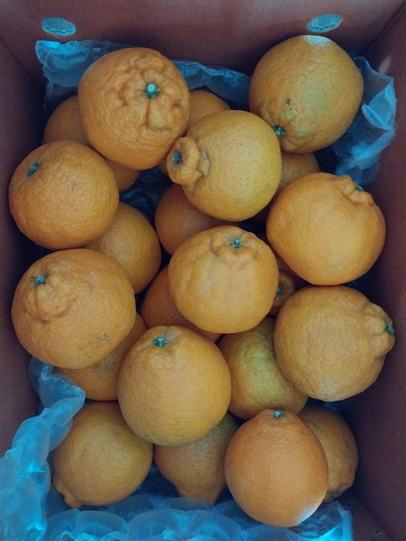 HMH님의 장터 구매 후기 썸네일