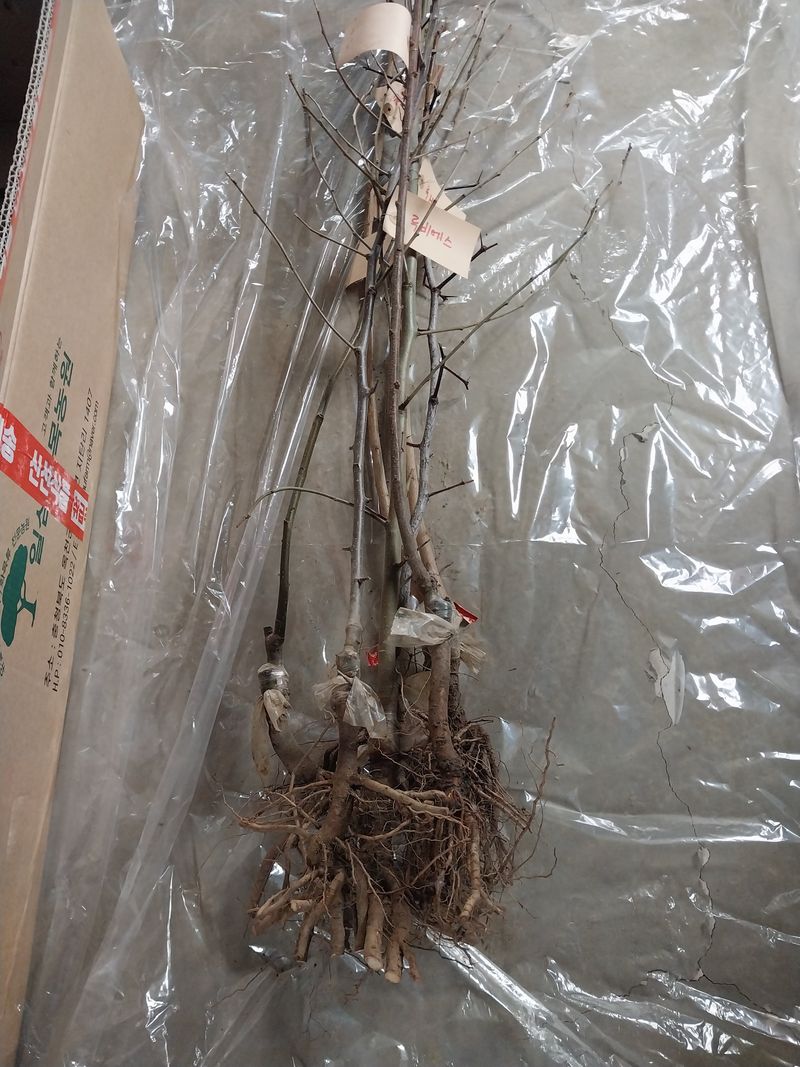 HMH님의 장터 구매 후기 썸네일