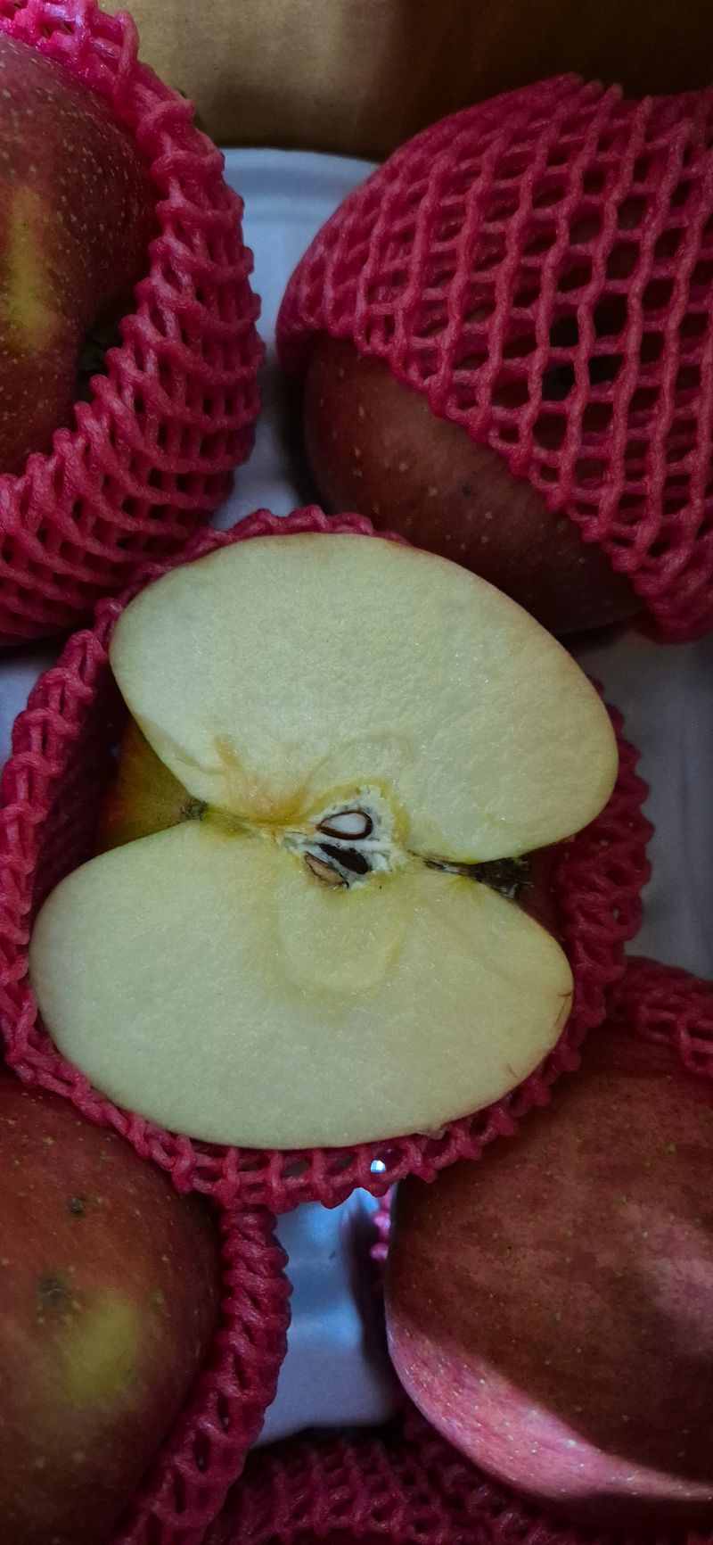 충남금산-김정섭님의 장터 구매 후기 썸네일