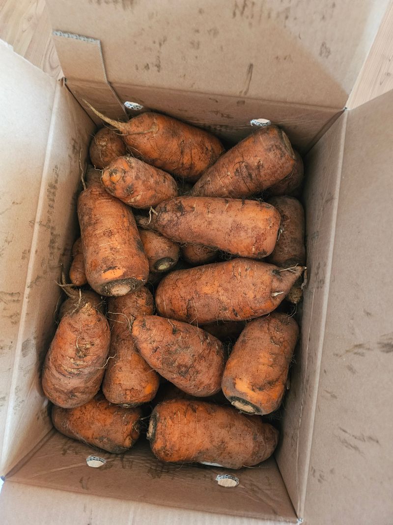 farmer님의 장터 구매 후기 썸네일