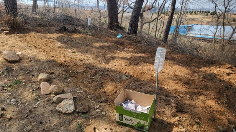 조미숙님의 장터 구매 후기 썸네일