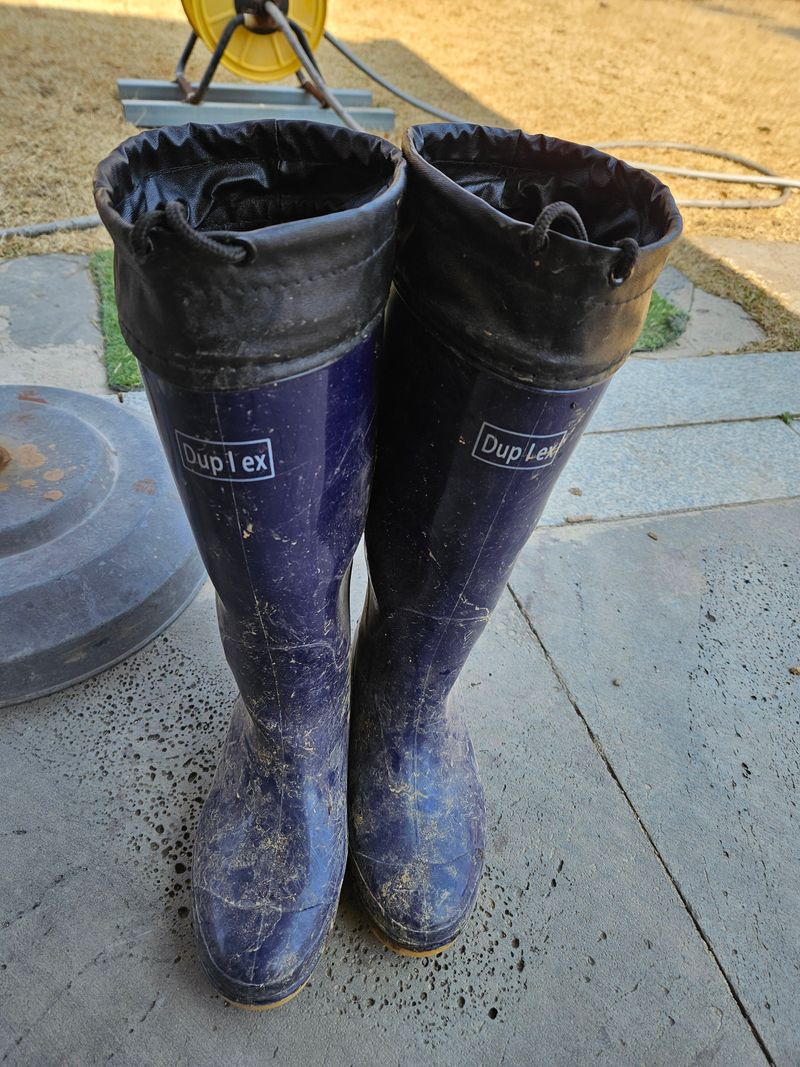 김해열님의 장터 구매 후기 썸네일