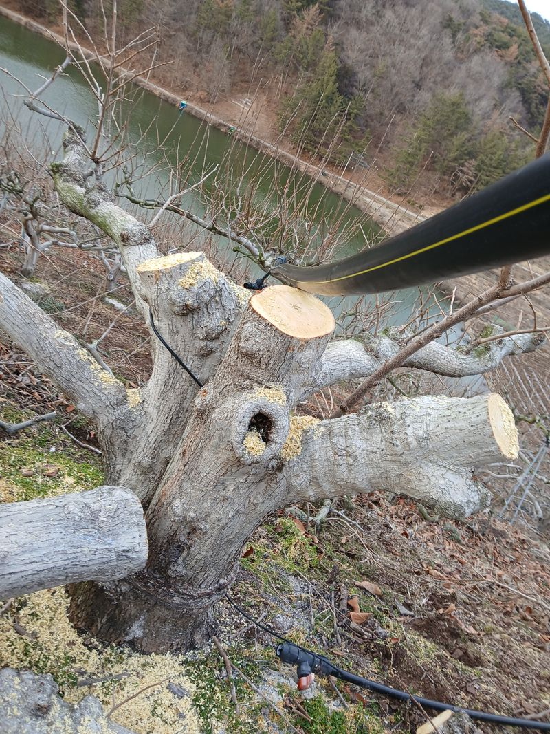 우영우님의 장터 구매 후기 썸네일