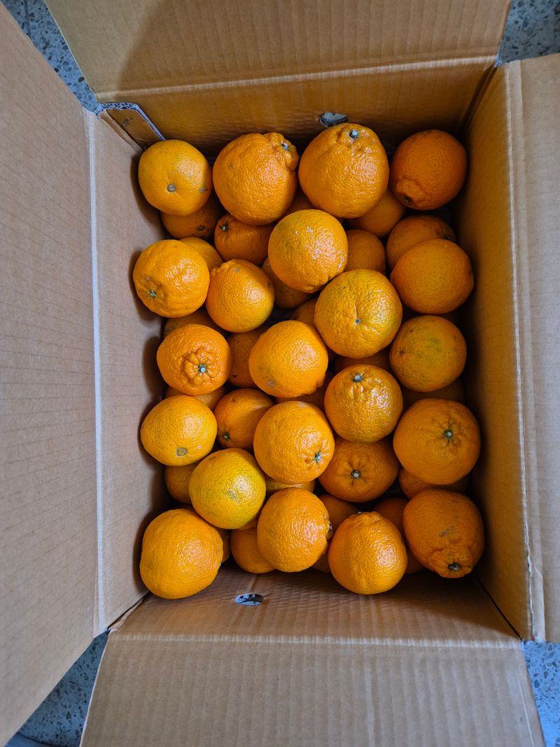 서상실님의 장터 구매 후기 썸네일