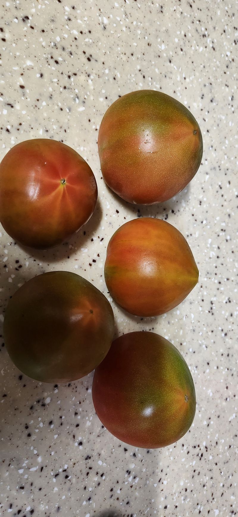 통영바닷가님의 장터 구매 후기 썸네일