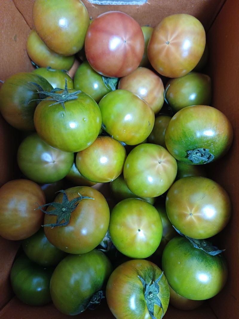 낙엽교목류12846님의 장터 구매 후기 썸네일