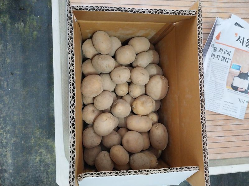 마늘19863님의 장터 구매 후기 썸네일