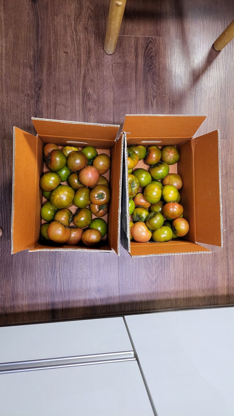 김중언님의 장터 구매 후기 썸네일