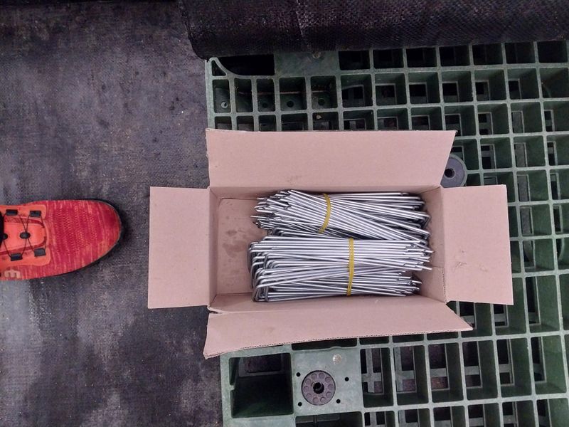 마늘19863님의 장터 구매 후기 썸네일