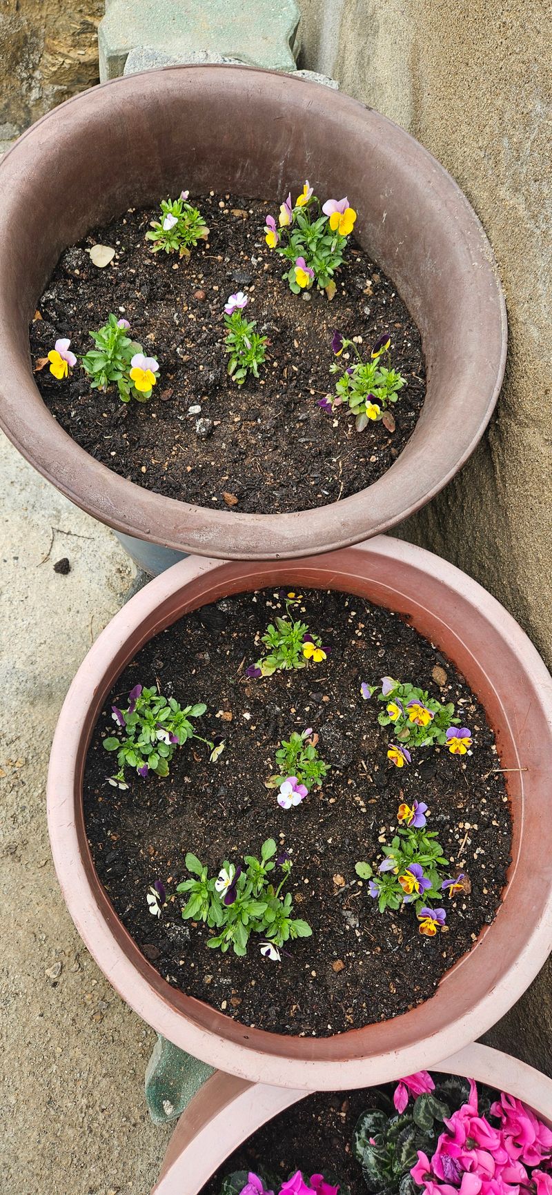 웰빙보리밥님의 장터 구매 후기 썸네일