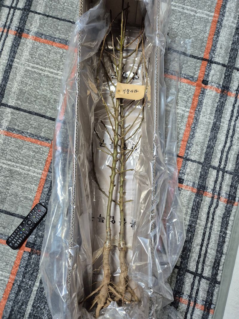 자두10696님의 장터 구매 후기 썸네일