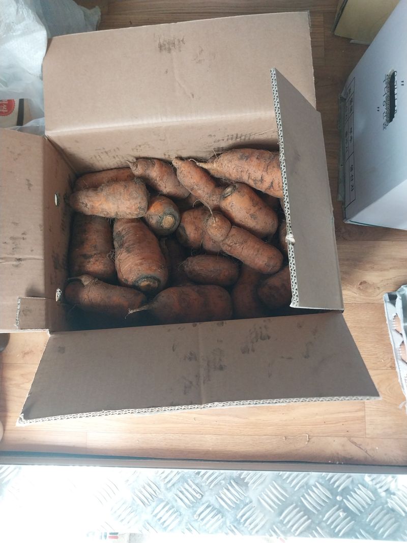 낙엽교목류14436님의 장터 구매 후기 썸네일