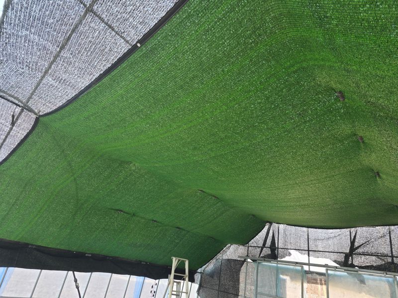 워람농장ㆍ황일택ㆍ님의 장터 구매 후기 썸네일