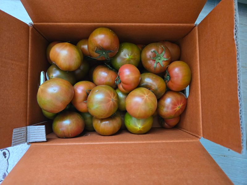 장순열님의 장터 구매 후기 썸네일