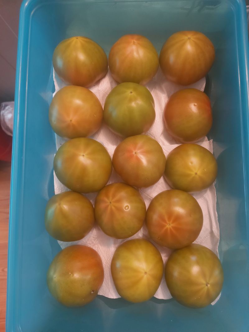 블루베리4315님의 장터 구매 후기 썸네일