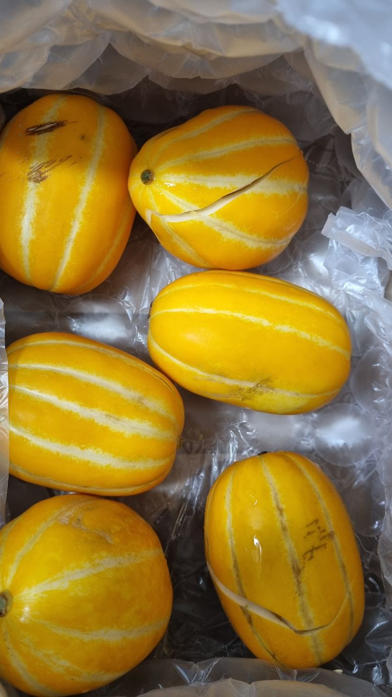 김영일님의 장터 구매 후기 썸네일