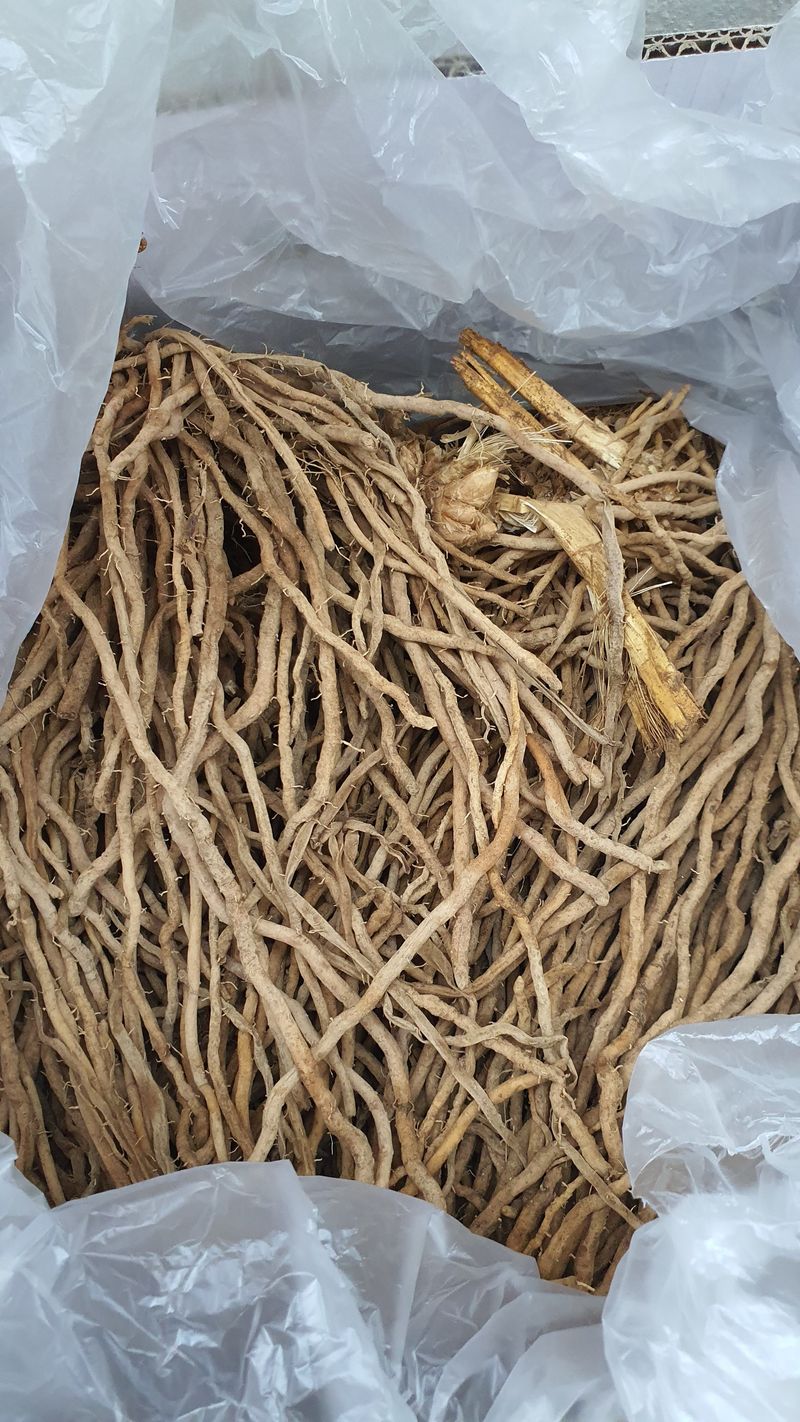 오다가다님의 장터 구매 후기 썸네일