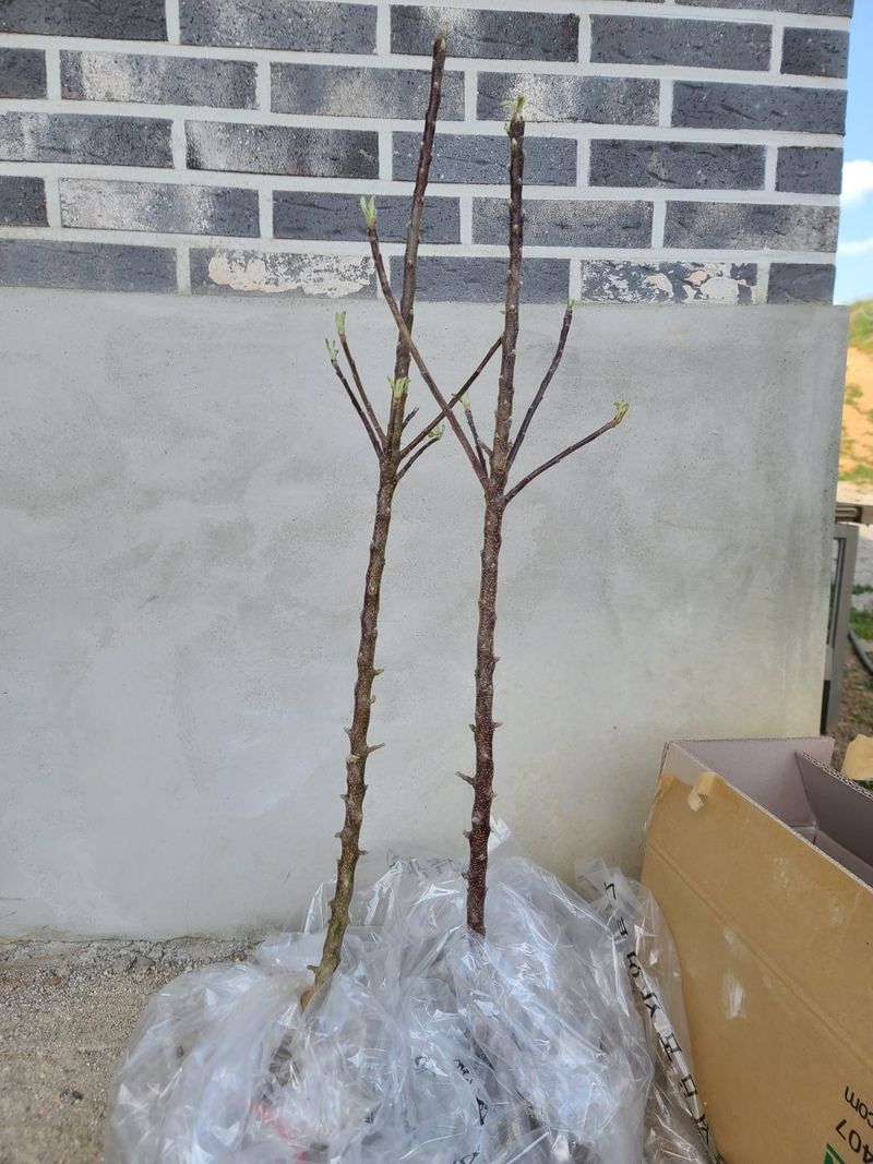 박선화님의 장터 구매 후기 썸네일