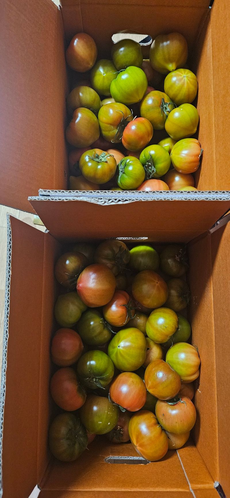 춘천(세모돌이)님의 장터 구매 후기 썸네일