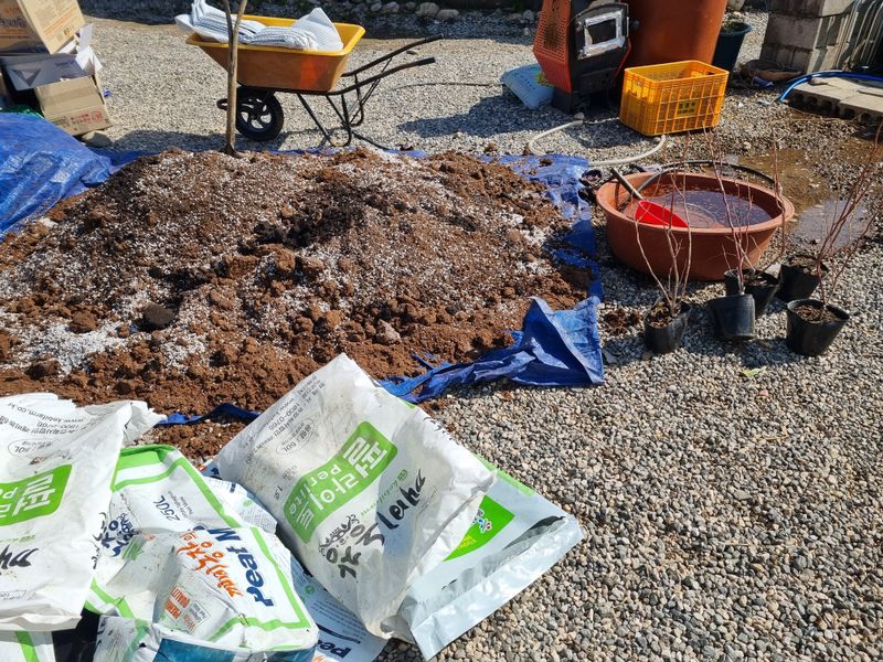 진여화 농원님의 장터 구매 후기 썸네일