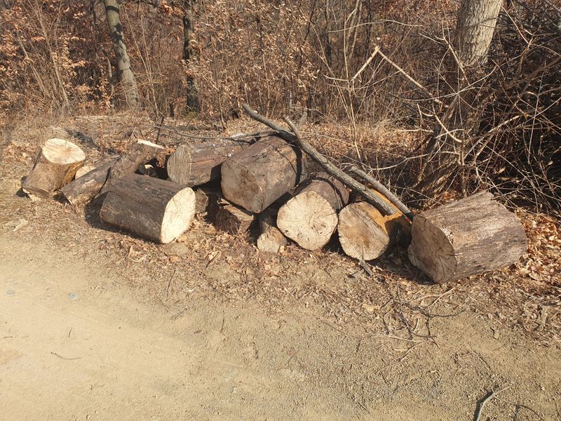 어부실님의 장터 구매 후기 썸네일