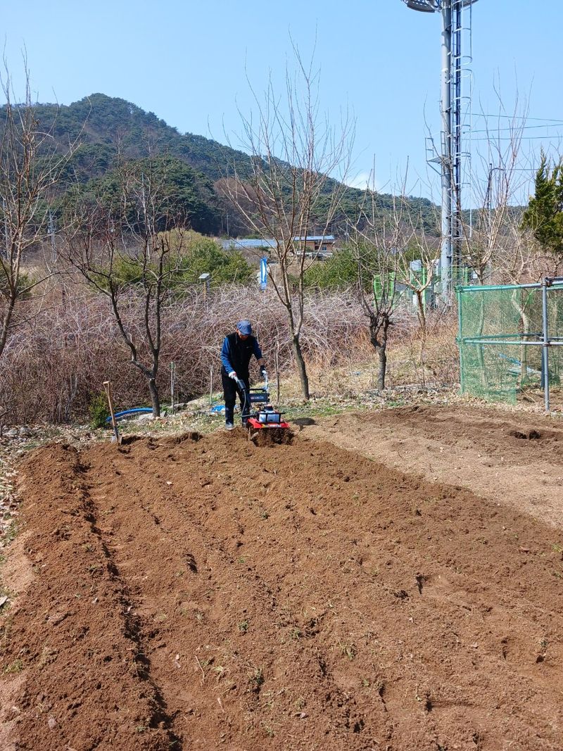 백운산 곰네미님의 장터 구매 후기 썸네일