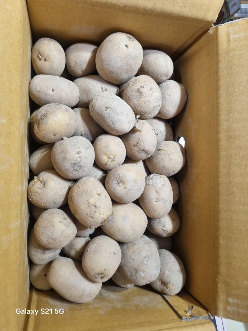 꿈사랑님의 장터 구매 후기 썸네일