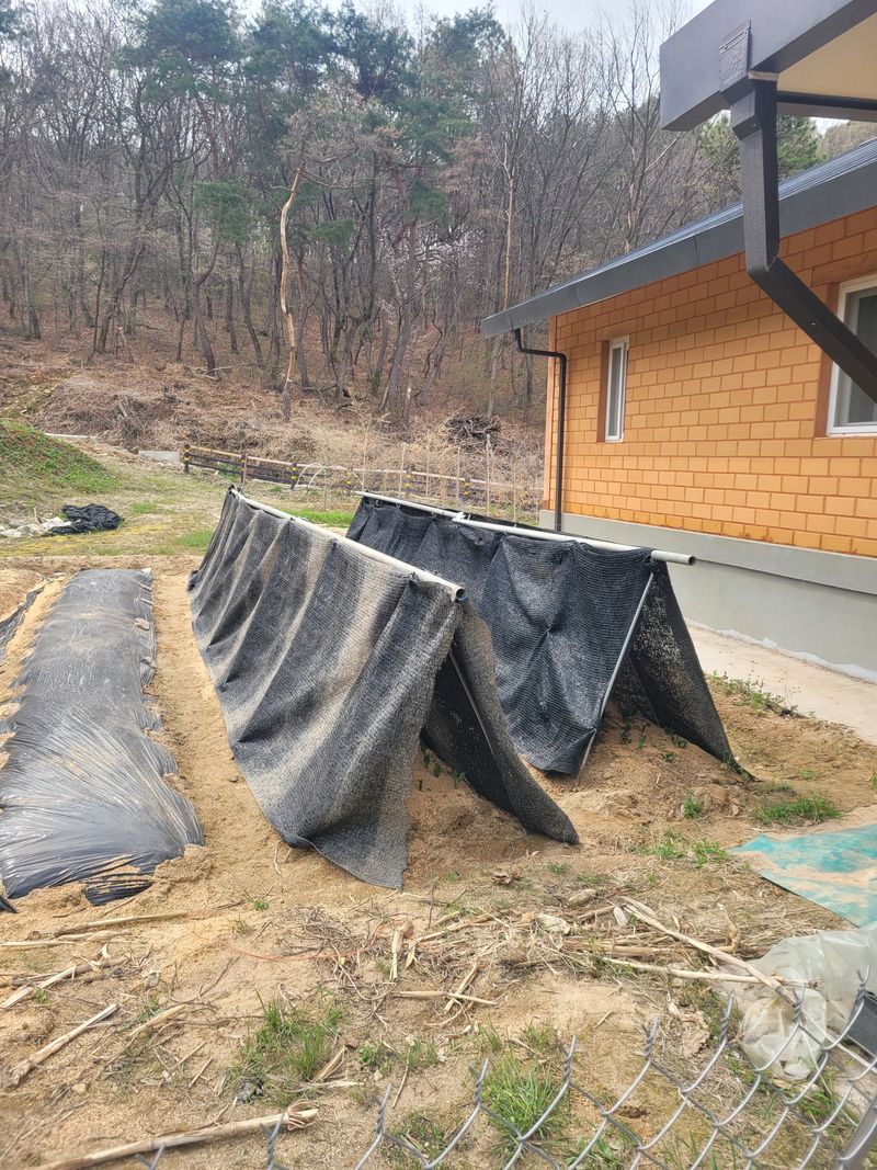 금이야놀자님의 장터 구매 후기 썸네일