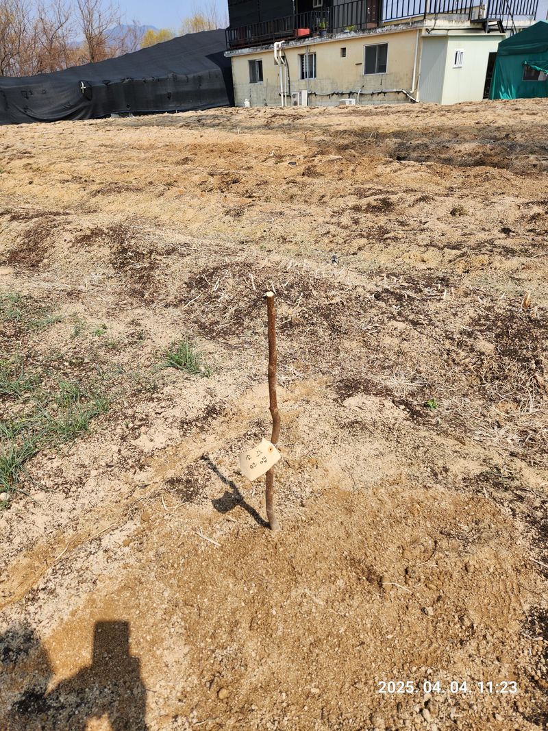 귤9735님의 장터 구매 후기 썸네일