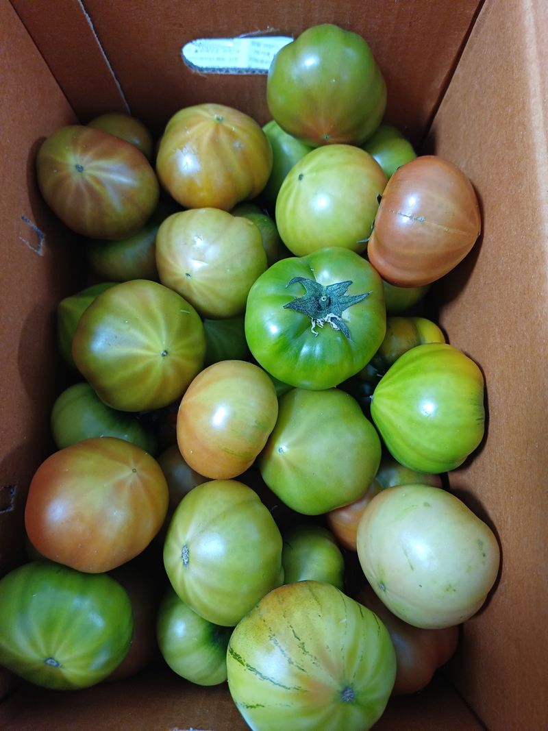 낙엽교목류12846님의 장터 구매 후기 썸네일