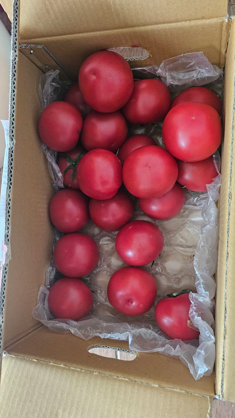 신현택님의 장터 구매 후기 썸네일