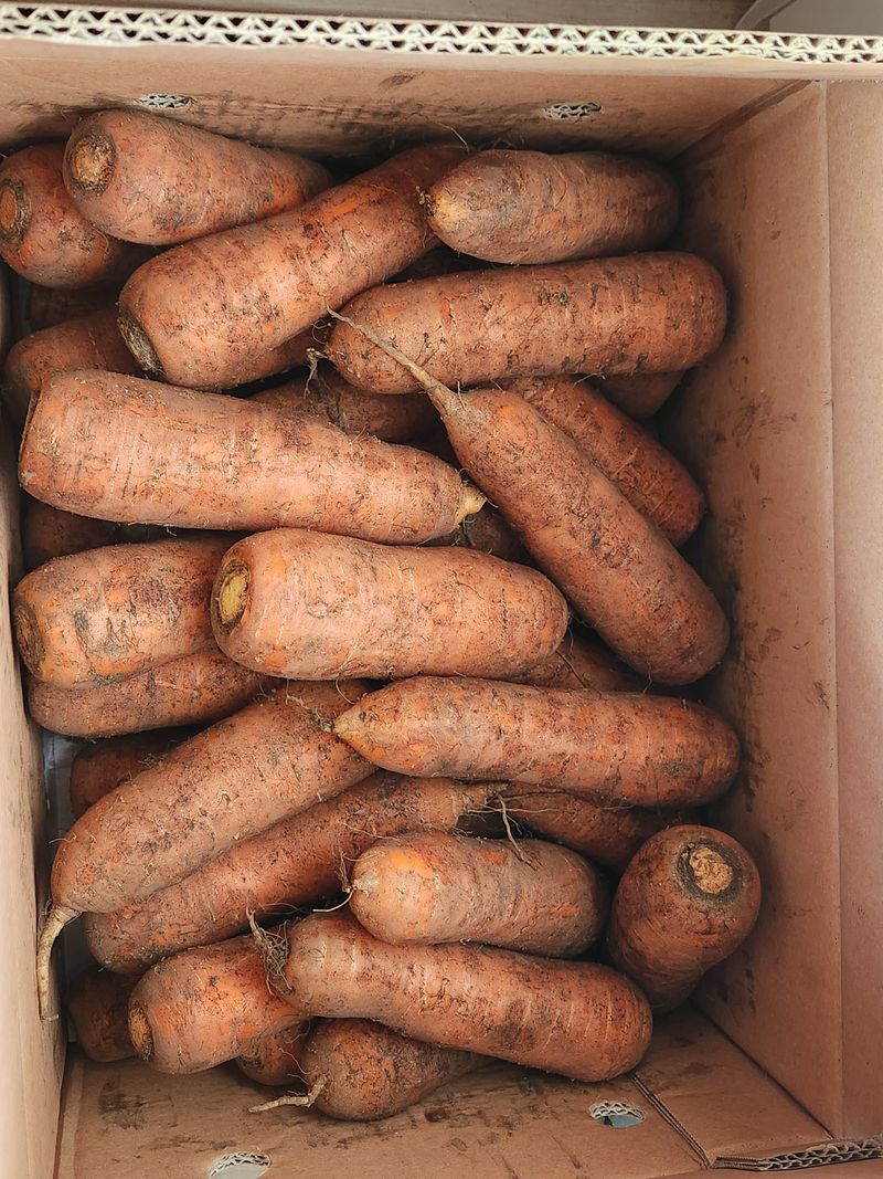 토마토12338님의 장터 구매 후기 썸네일