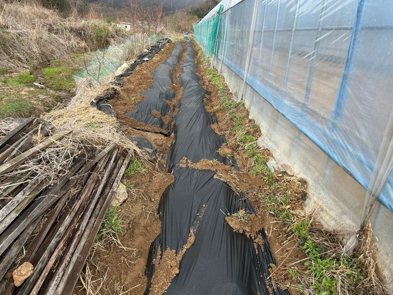 농린이님의 장터 구매 후기 썸네일