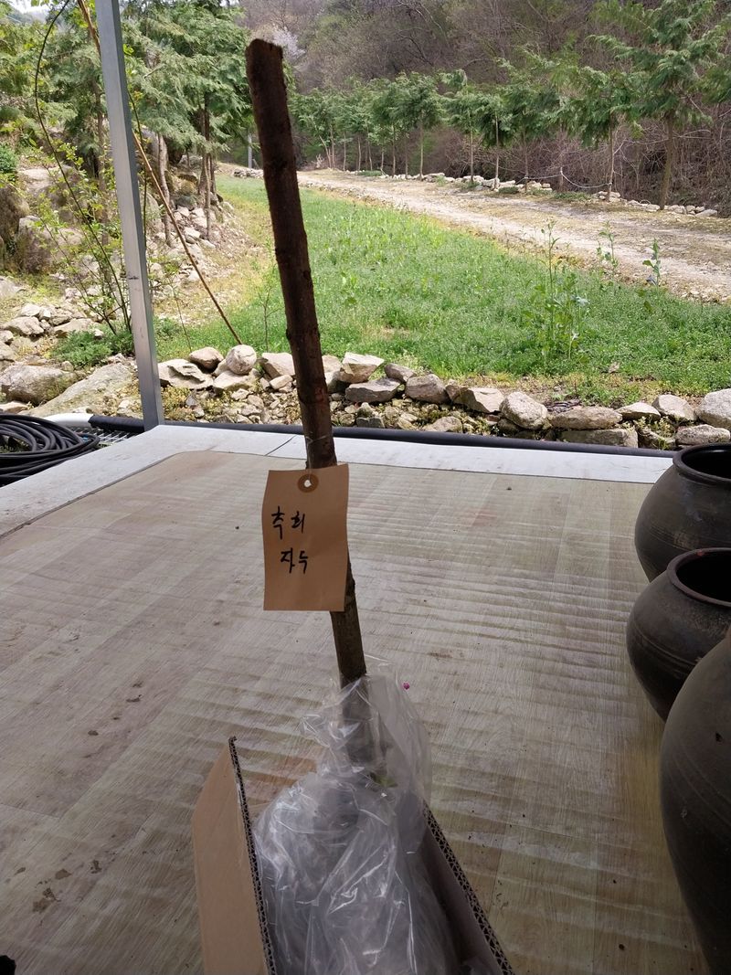 마늘19863님의 장터 구매 후기 썸네일