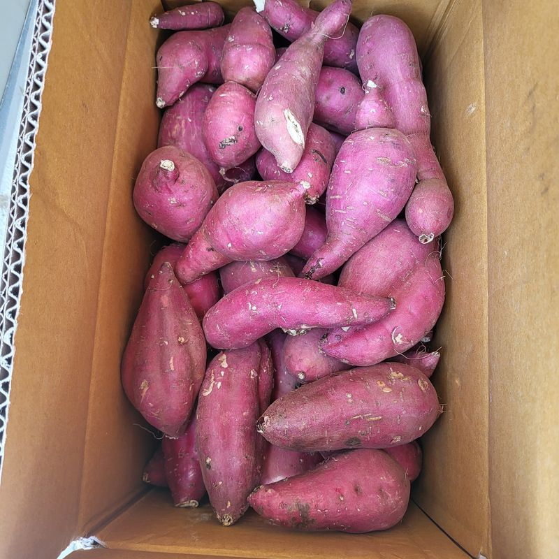 오케바리(옥경종)님의 장터 구매 후기 썸네일