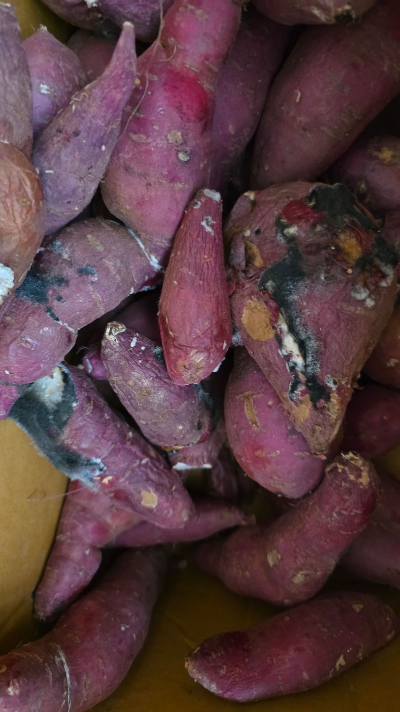 남정랑님의 장터 구매 후기 썸네일