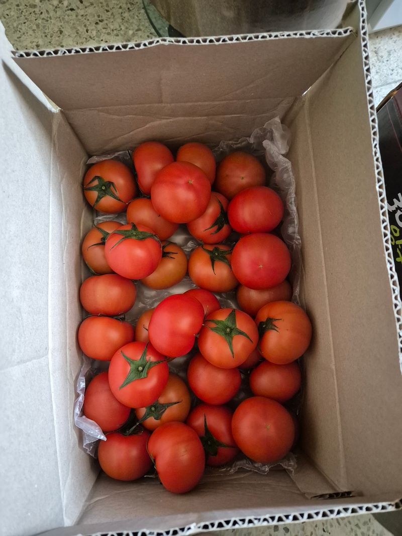 서상실님의 장터 구매 후기 썸네일