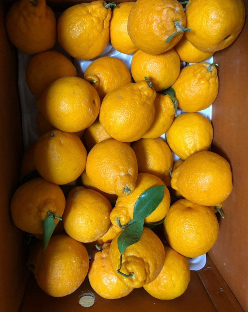 송승기님의 장터 구매 후기 썸네일