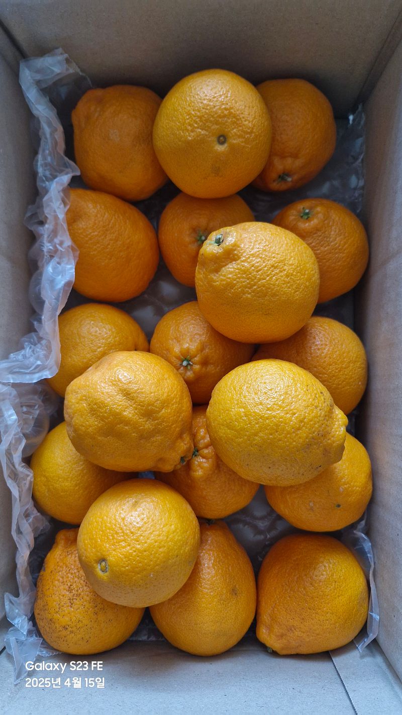 법공성산님의 장터 구매 후기 썸네일