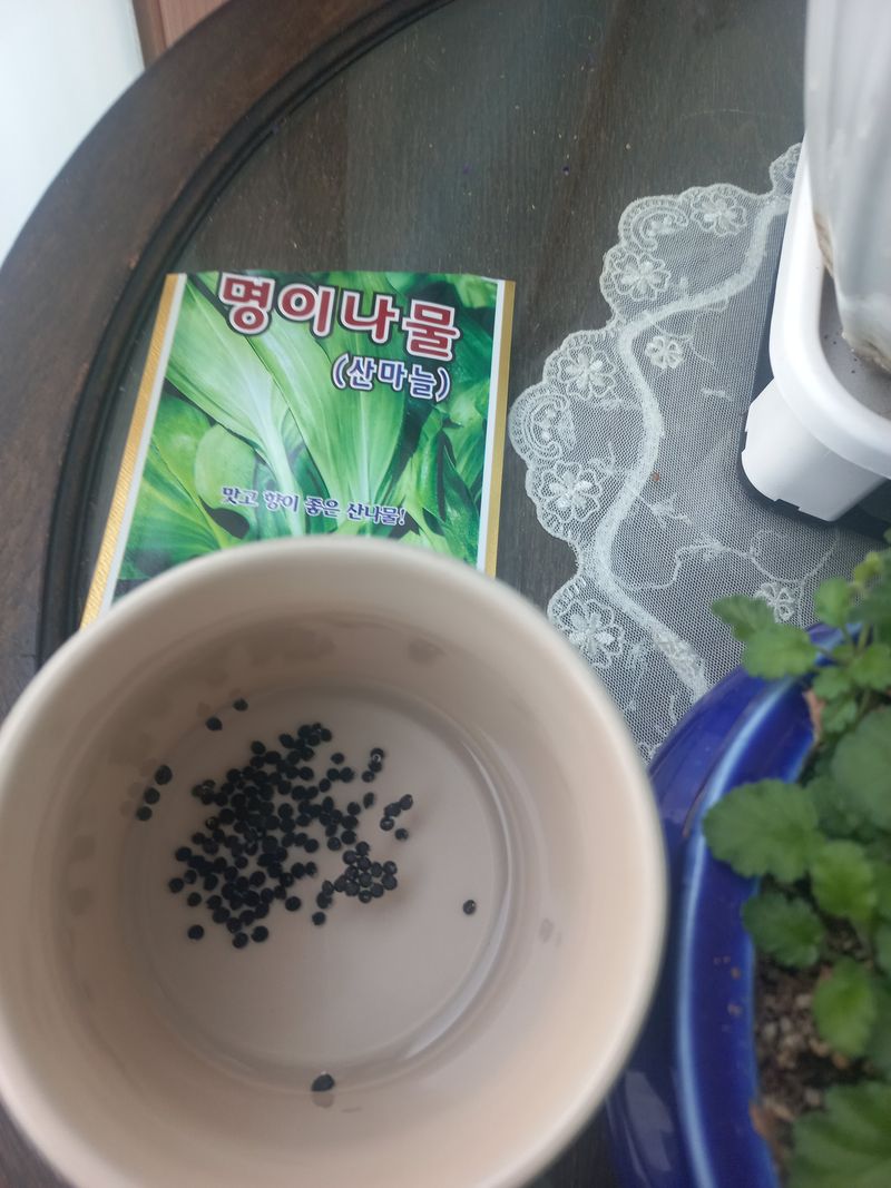 바람처럼님의 장터 구매 후기 썸네일