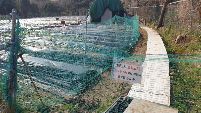 이경옥님의 장터 구매 후기 썸네일