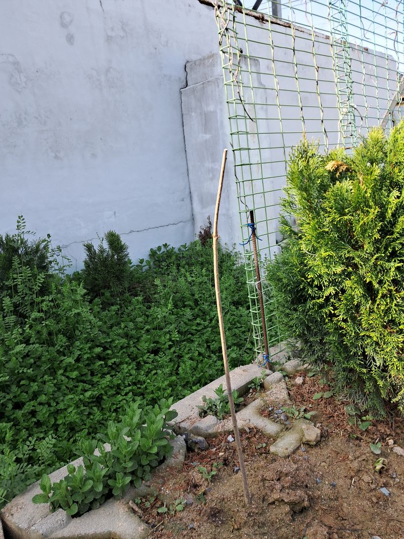 강주민님의 장터 구매 후기 썸네일