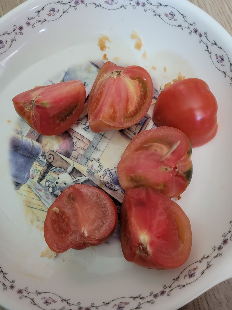 염소님의 장터 구매 후기 썸네일