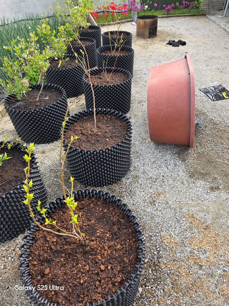 나선기님의 장터 구매 후기 썸네일