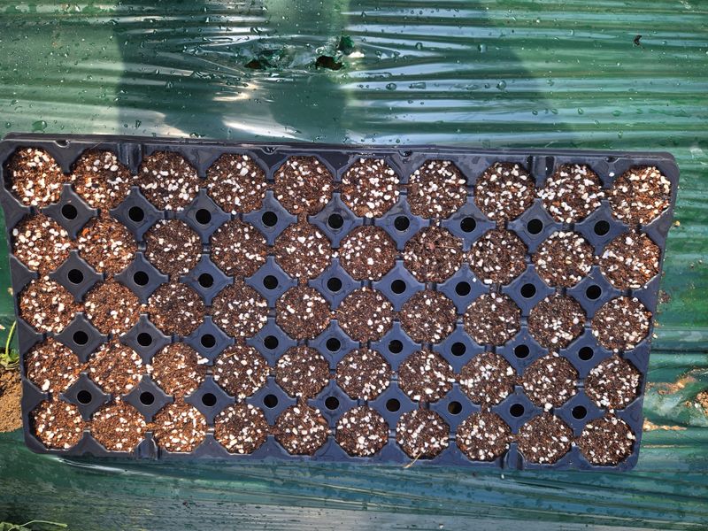 호미자루님의 장터 구매 후기 썸네일