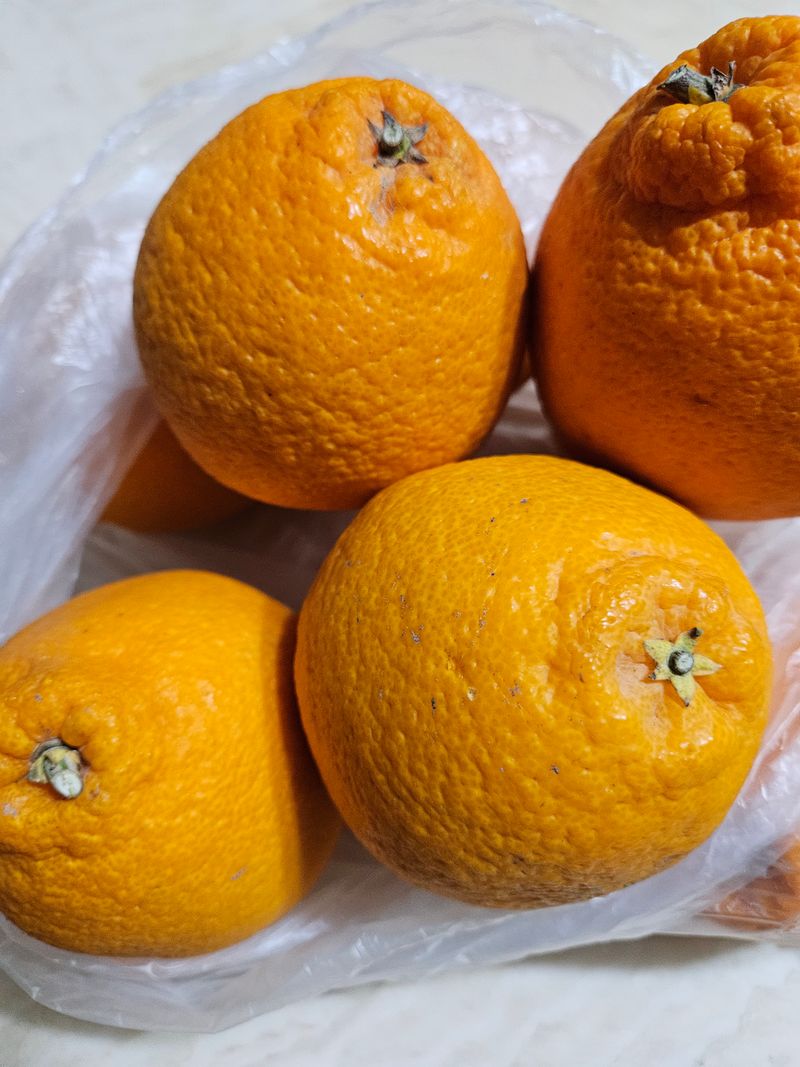 충남예산최현자님의 장터 구매 후기 썸네일