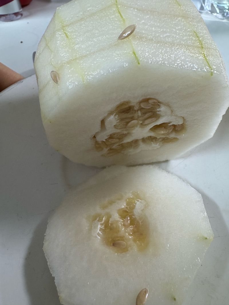 김정겸님의 장터 구매 후기 썸네일